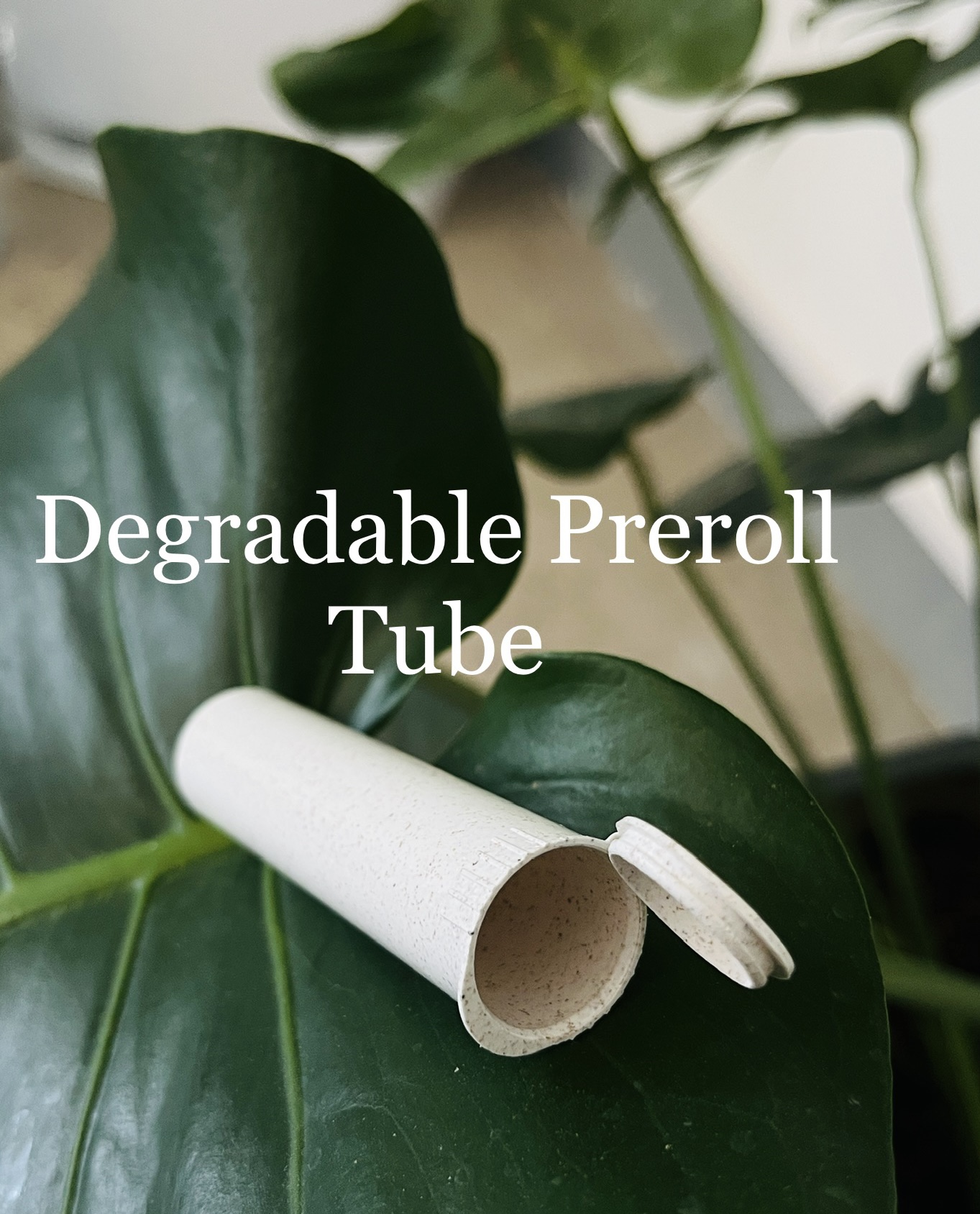 PLA Biodegradable Blunt Tube – 116mm Eco-Friendly